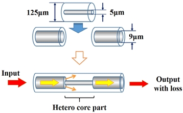 Fig. 2