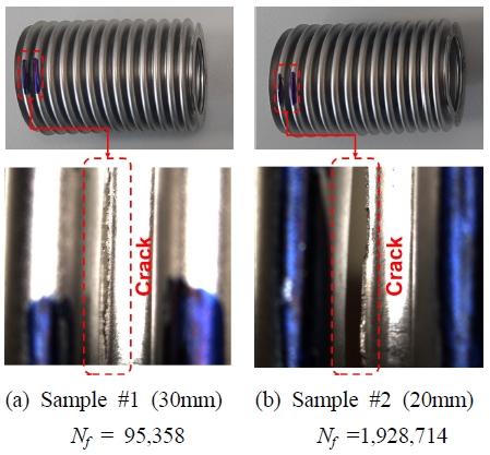 Fig. 10