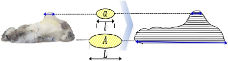 Fig. 3